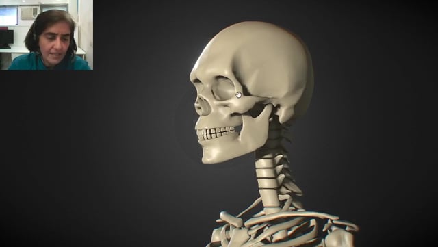 Introduction to the Skeletal System