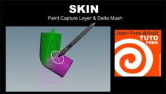 02 SKIN : Paint Capture Layer & Mush