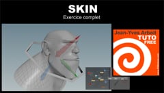 03 Premier exercice  SKIN