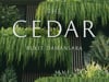 Tribeca - The Cedar Director Version