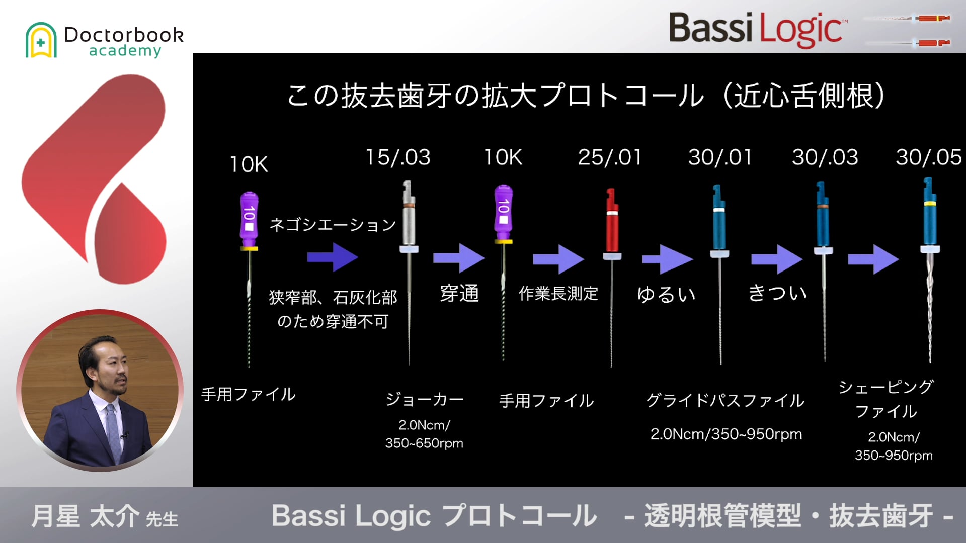 Bassi Logic プロトコール - 透明根管模型・抜去歯牙 -