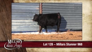 Lot #128 - MILLARS STUNNER 968