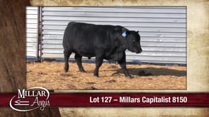 Lot #127 - MILLARS CAPITALIST 8150