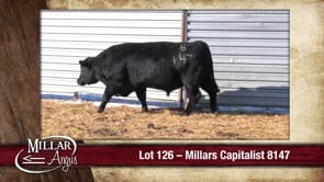 Lot #126 - MILLARS CAPITALIST 8147