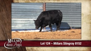 Lot #124 - MILLARS STINGRAY 8152