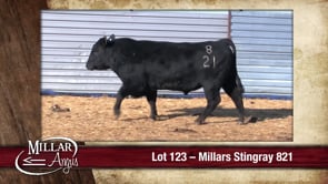 Lot #123 - MILLARS STINGRAY 821