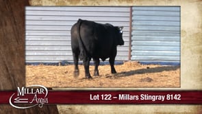 Lot #122 - MILLARS STINGRAY 8142