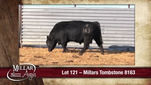 Lot #121 - MILLARS TOMBSTONE 8163