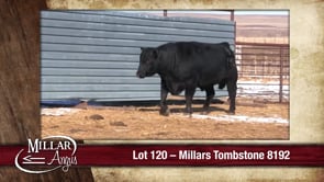 Lot #120 - MILLARS TOMBSTONE 8192