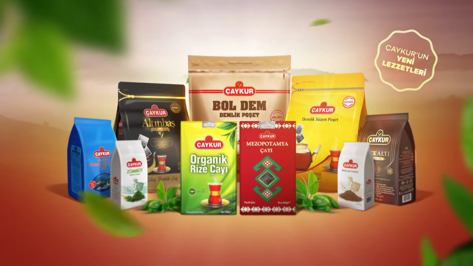 Çaykur - Çay Lügatı