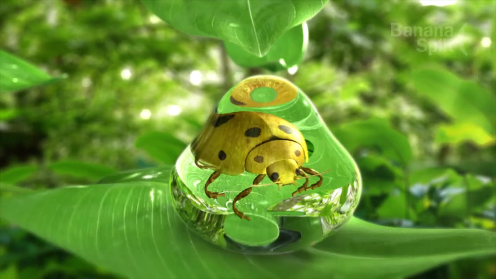 Showreel - 2013