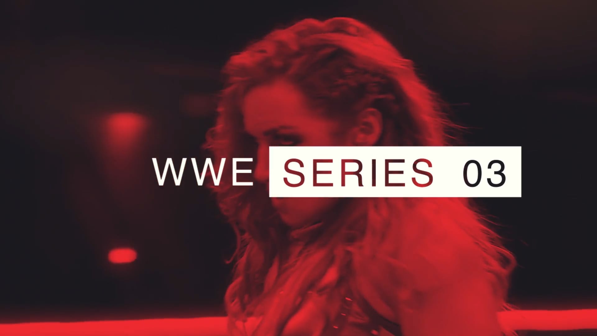 Mattel WWE Series 103 Product Video