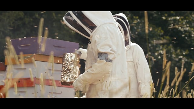 Related Embedded Video Item Thumbnail
