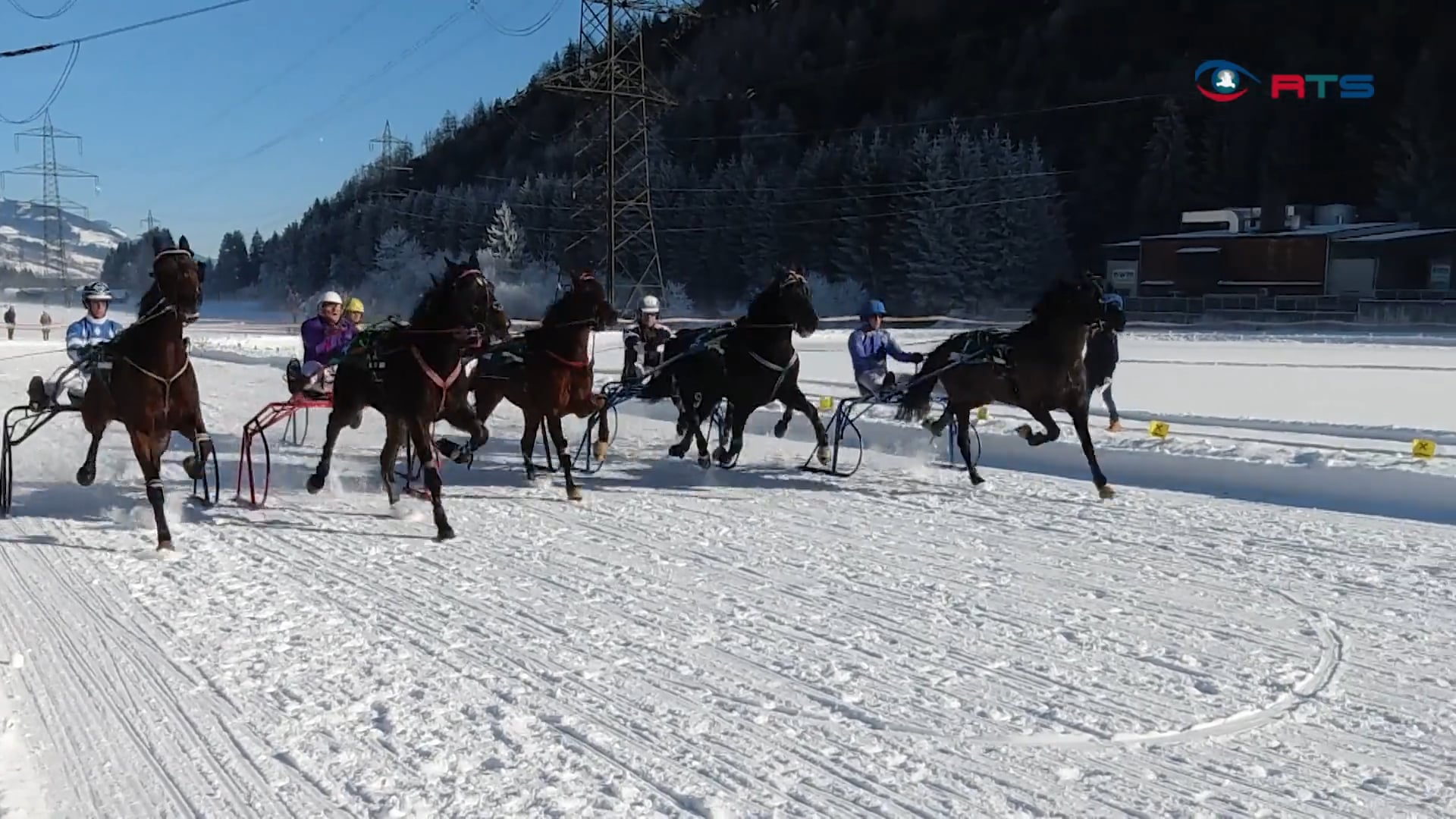 reiter-und-ross-trotzen-dem-schnee-pferdeschlittenrennen-in-mittersill