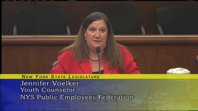 Public Protection Joint Legislative Budget Hearing On Vimeo