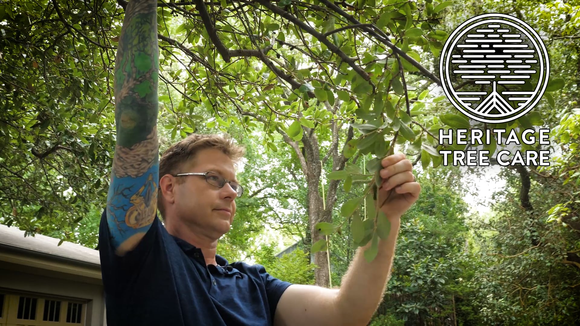 Heritage Tree Care