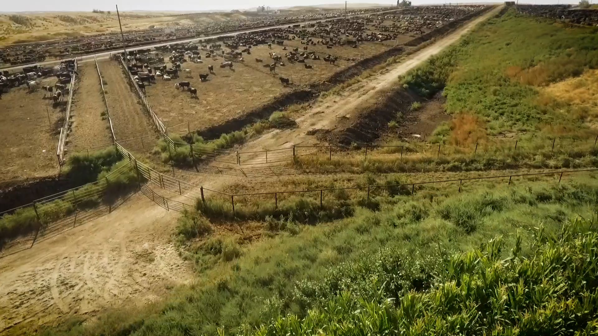 USRSB_Rough_FINAL-1080