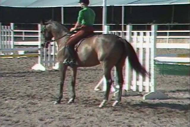 Ep 3 - Preparing the Rider - Jimmy Williams