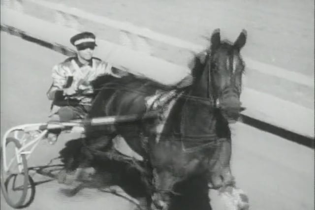 The Great Dan Patch - Ep 2