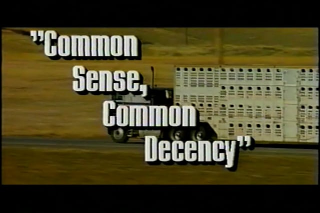 Common Sense, Common Decency - USDA: Transporting Horses For Slaughter"
