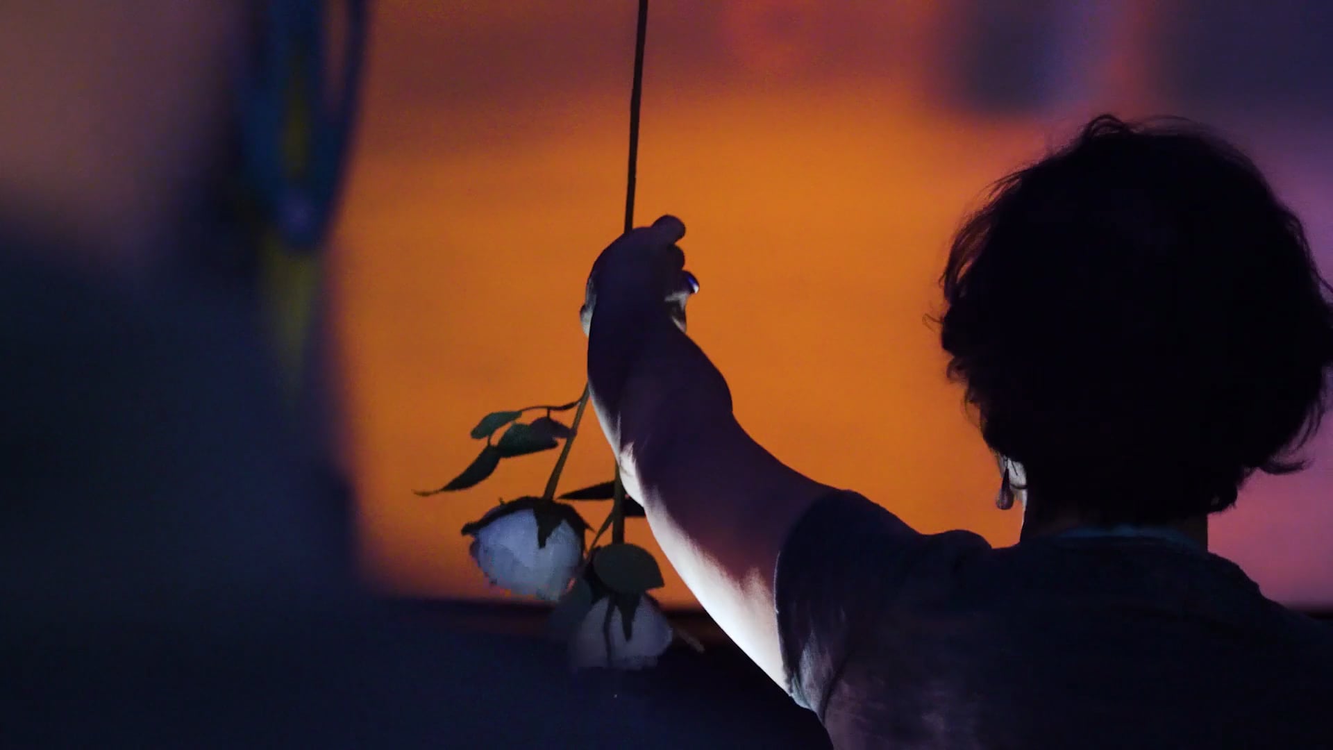 Denver Art Museum UNTITLED: Creative Fusions (January 2020)