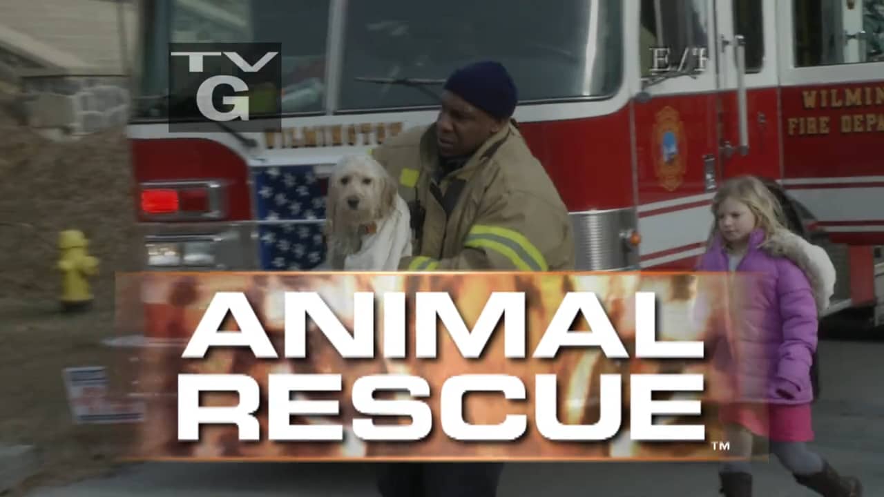 ANIMAL RESCUE - Sample Episode on Vimeo