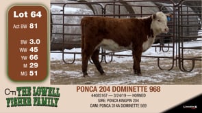 Lot #64 - PONCA 589C DOMINETTE 968