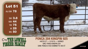 Lot #51 - PONCA 589C DOMINO 925