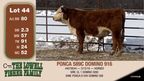 Lot #44 - PONCA 314A DOMINO 916