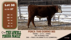 Lot #38 - PONCA 7049 DOMINO 905