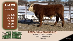 Lot #29 - PONCA 314A DOMINO 8101