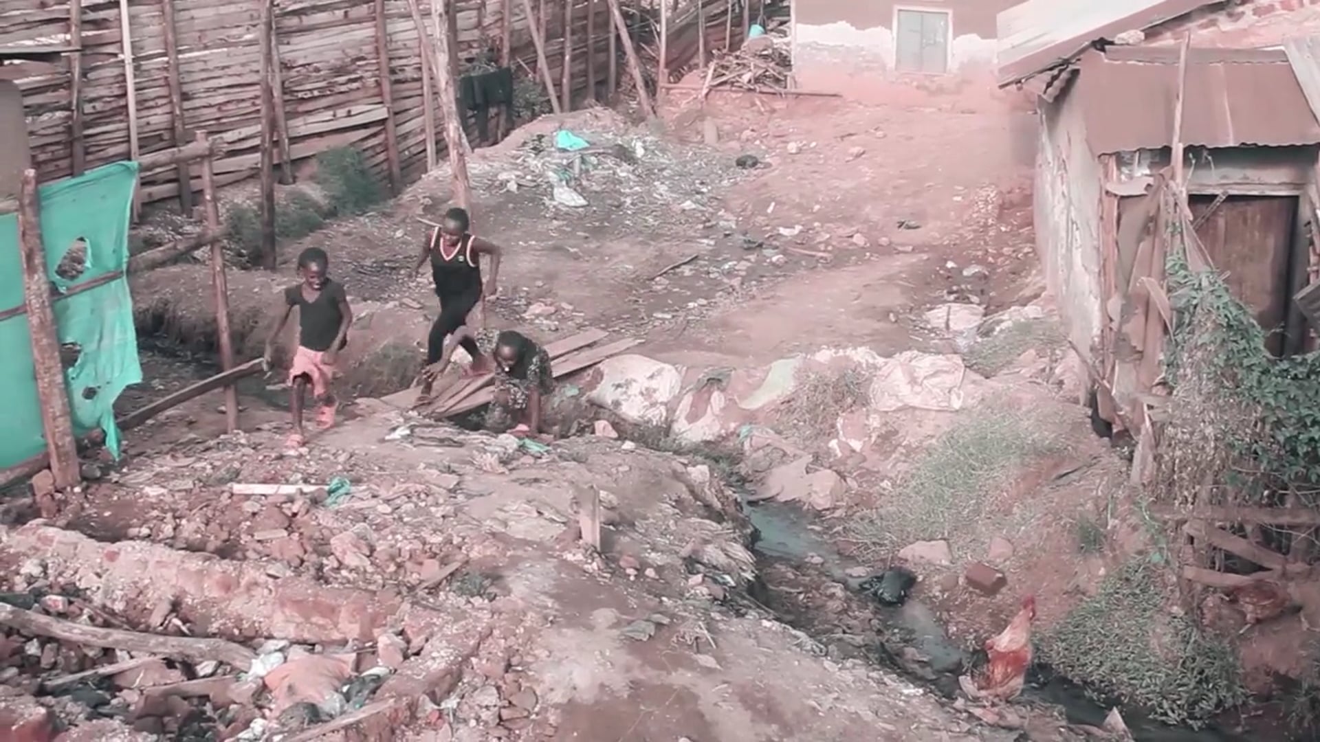 BREAD WINNER | The Scene Festival