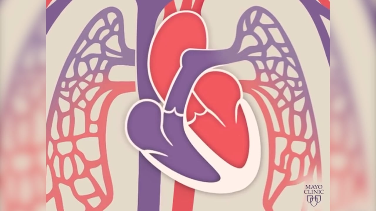 Vital Signs and Anatomy