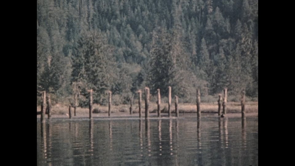 Narrows Inlet