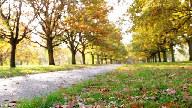 A day in Walpole Park, Ealing