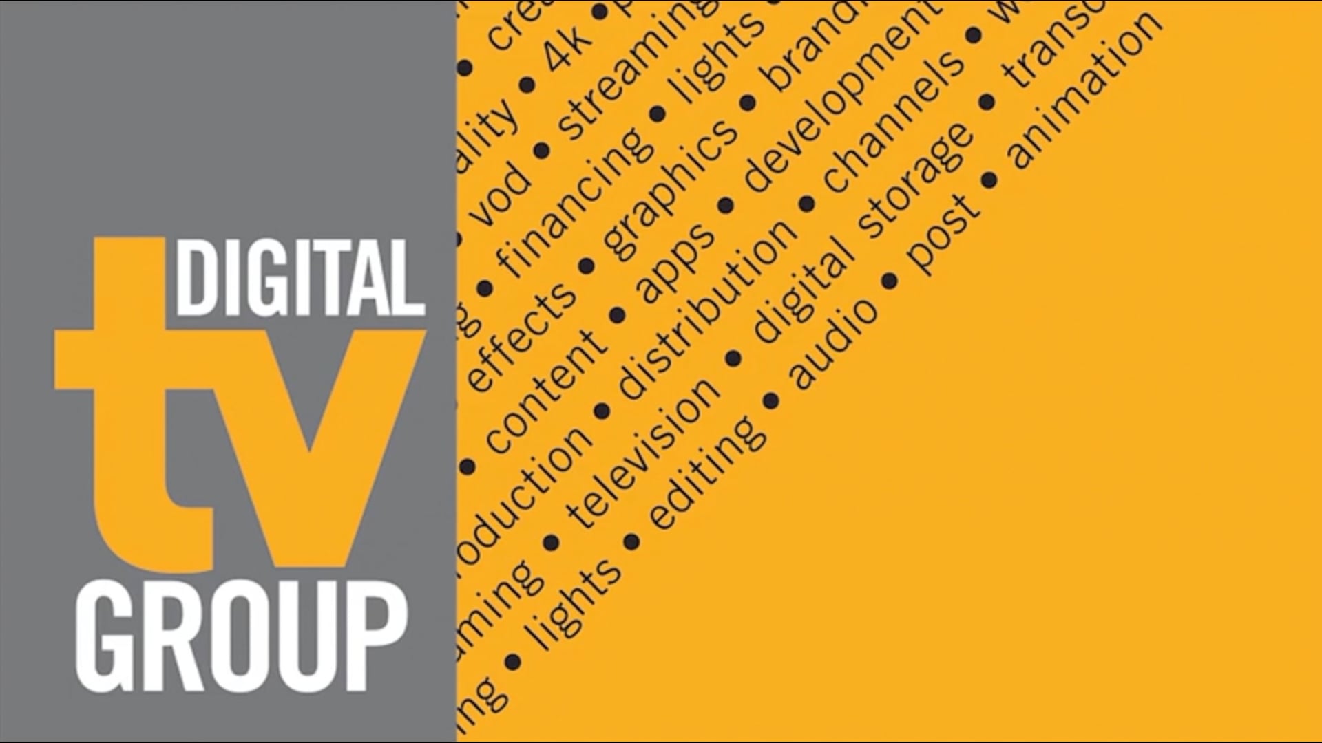REEL Digital TV Group