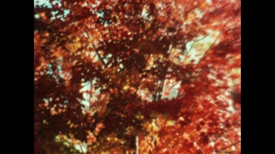 Transitions