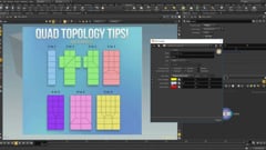 Houdini Essential Modeling - 01 Outils Essentiels - 26 - Visualiser les Quads