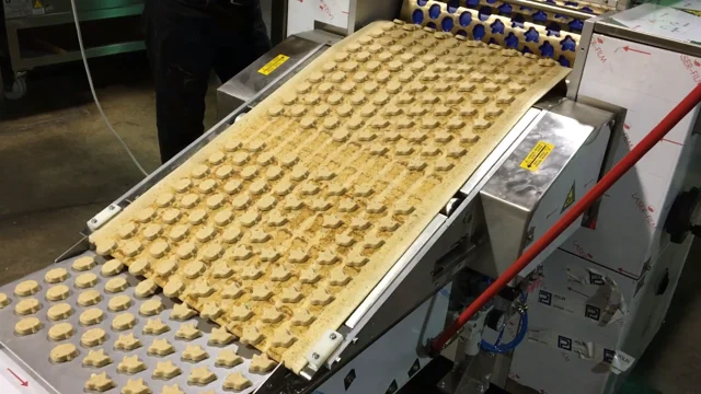 Machine Rotatif / Roto-découpoir - Biscuit Pro
