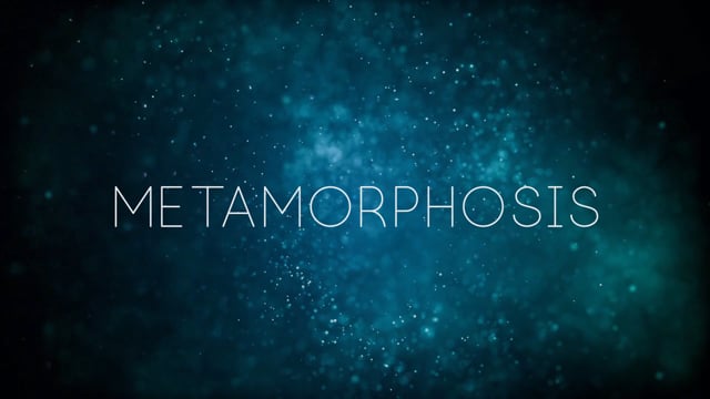 Making 'Metamorphosis' - A Stunning New Sound Effects Library With ...