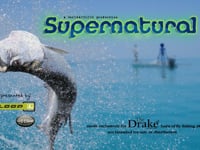 Supernatural by WorldANGLING: Saltwater Fly Fishing for Tarpon