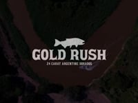 Gold Rush - Fly Fishing For Golden Dorado in Argentina