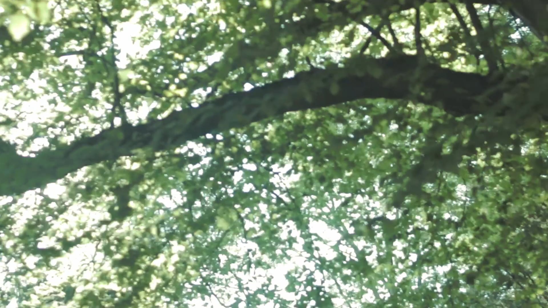 garten_festival_basel