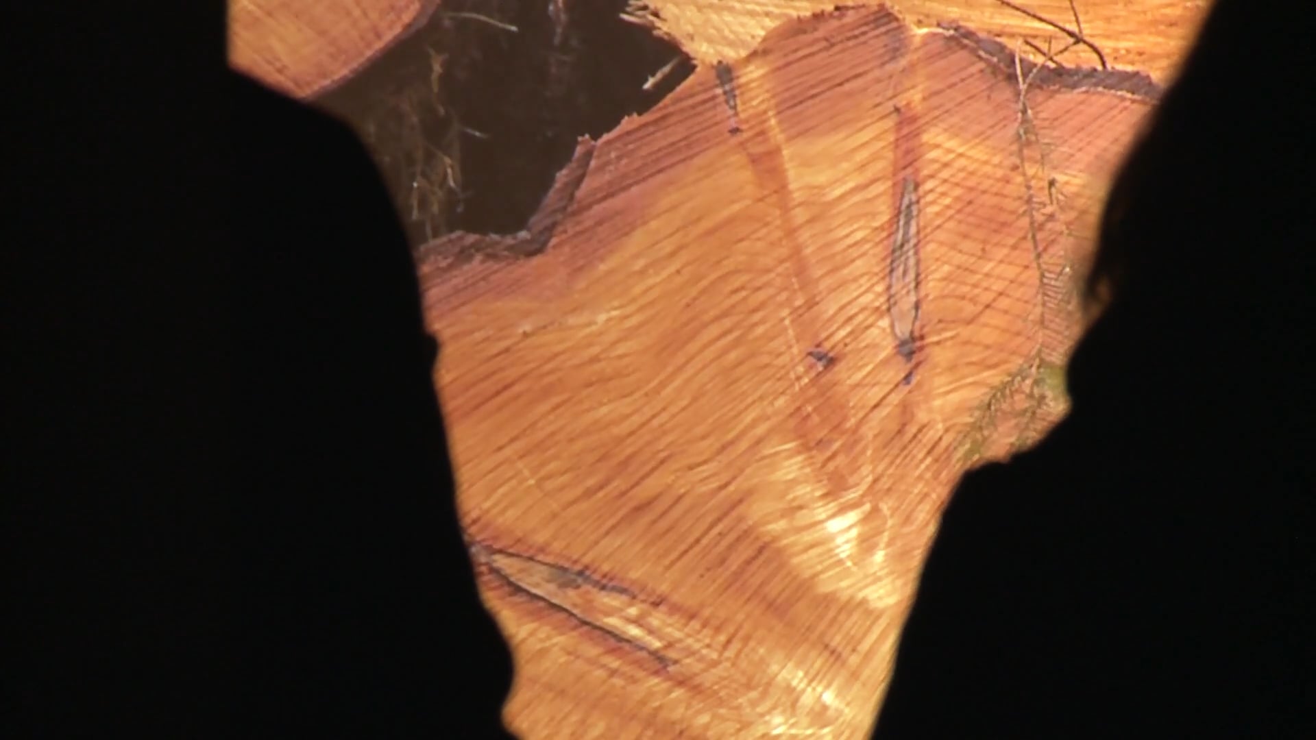 The Same Hillside - Installation at CCA Glasgow, March 2017