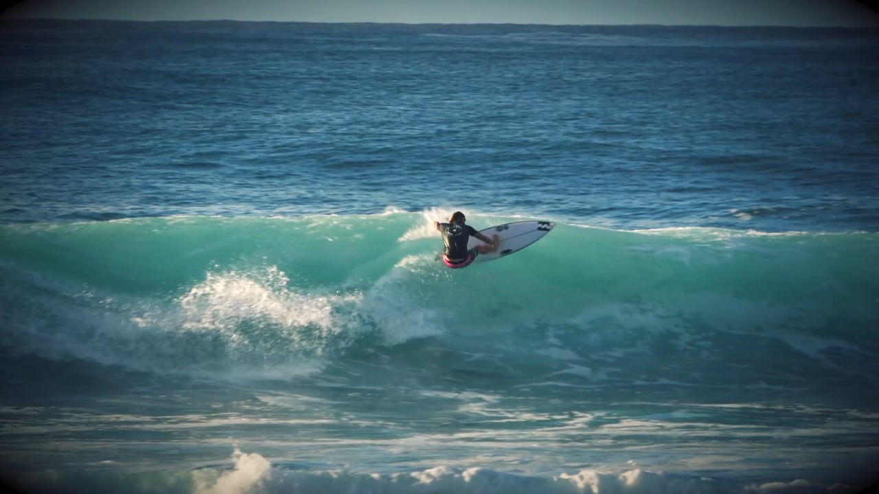 Flyin' Lion Proctor Surfboards Worldwide Custom