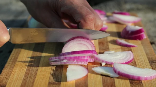 How to Cut an Onion (VIDEO) 