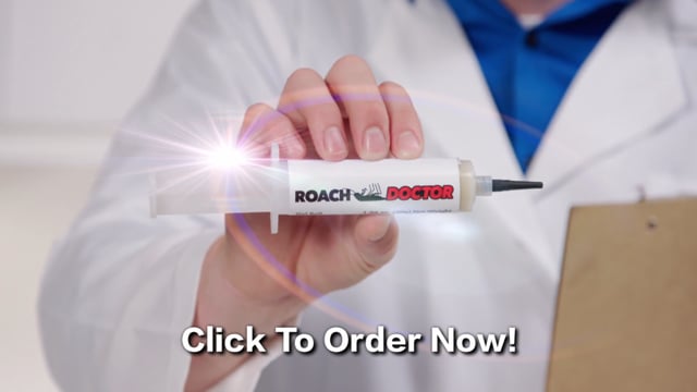 Roach Dr II