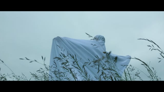 Vimeo Thumbnail (API)