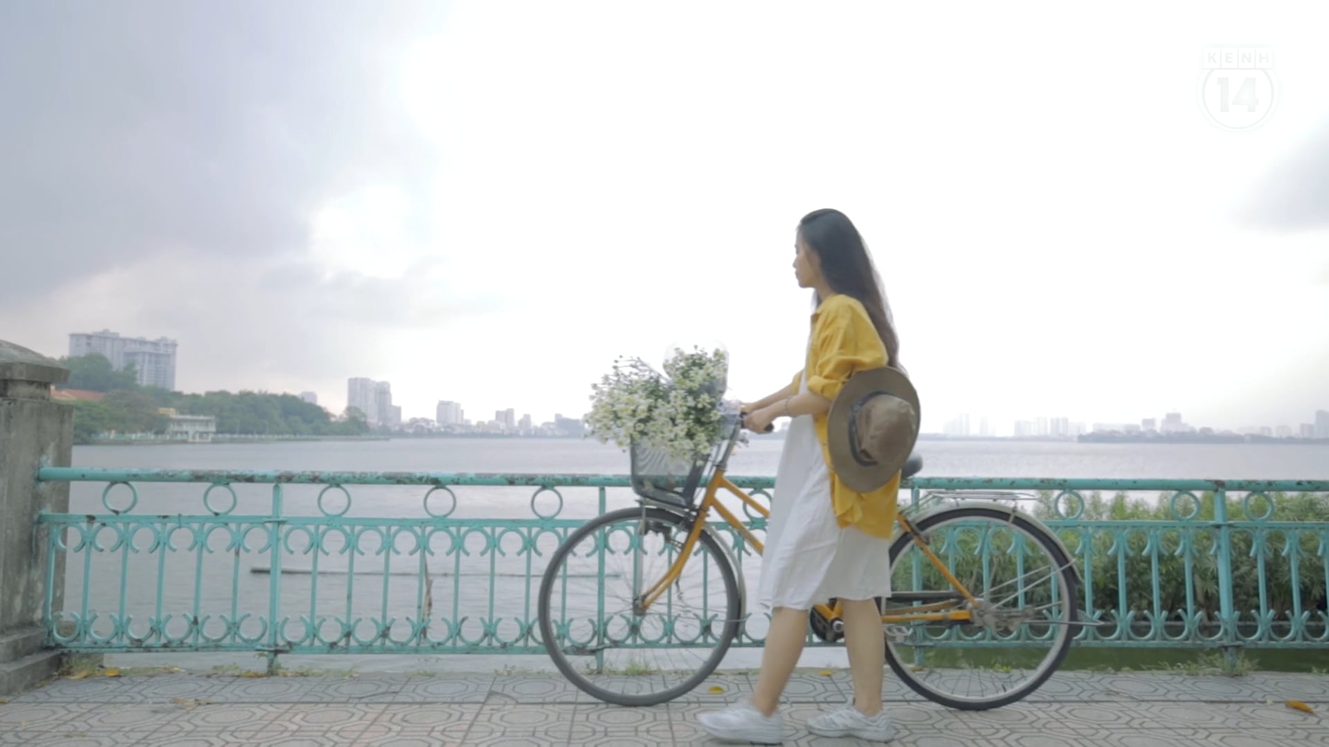Cúc hoạ mi