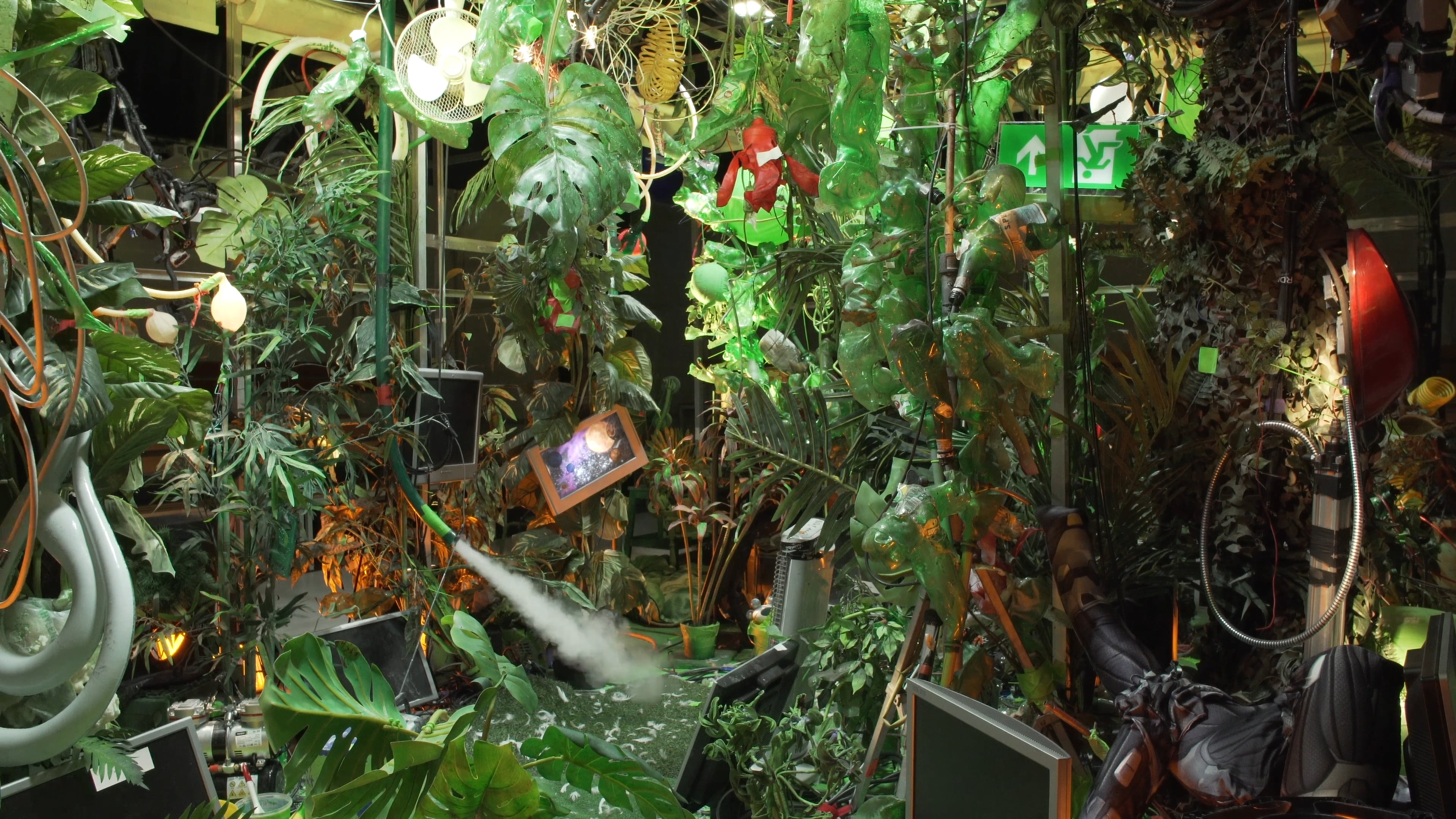 Botanical Wasteland excerpt spring